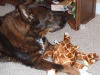 What U Mena Lena Wants Dis Toy?