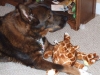 dscf0161_0