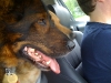 Oh Hai - Iz Cruzin