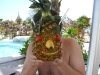Pineapple head
