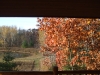 View from Back Door