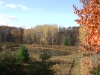 Pond in Back