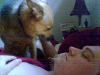 Get Up Lazy Fu##ker